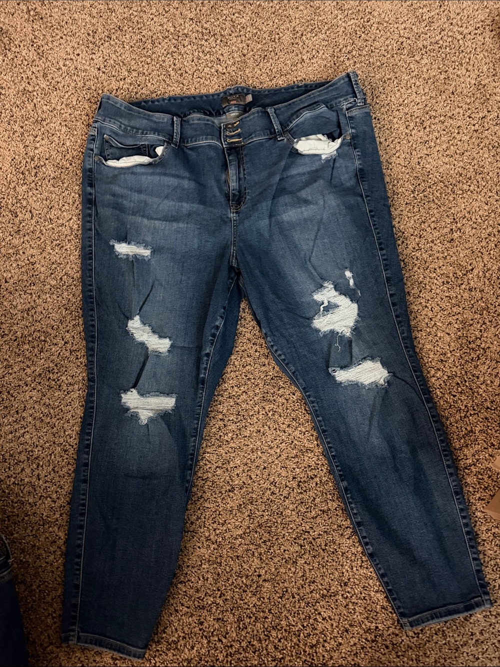 torrid Dark Blue Distressed Jeggings